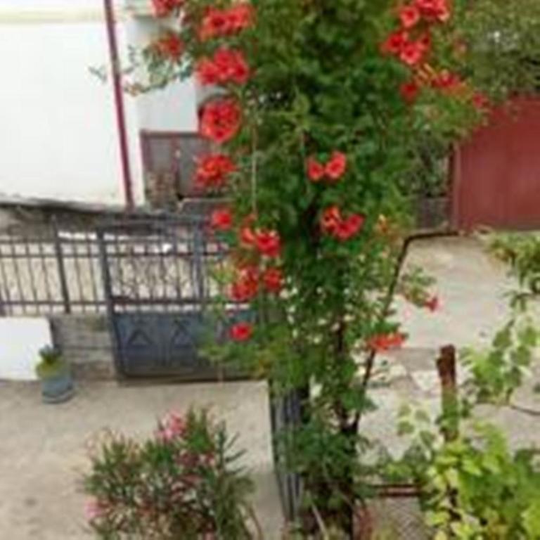 Guest House Quiet Home Batumi Zewnętrze zdjęcie